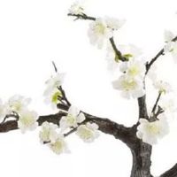 牛养殖场起名大全热门新款 最新版企业好名集合