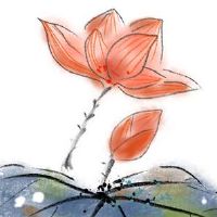 儿子12虎年本命年送什么好 本命年父母送红内衣添福旺运