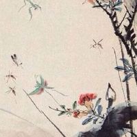 为啥风象星座老是吸引火象 火象和风象配对程度