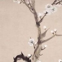 土象的绝配其实是风象 金牛座和双子座匹配指数