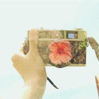 In theory, the elf on the giant action, these three star, the favorite paper talks!