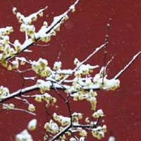 1976年出生属龙人2022年上半年运势如何 六月事业财运稳定