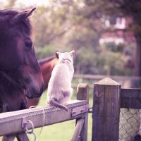 Be good at seizing the opportunity, breaking through the bottleneck in the duty court, winning everyone to recognize, and win the future constellation