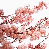 一斗穷二斗富的顺口溜 3个斗的人责任感强