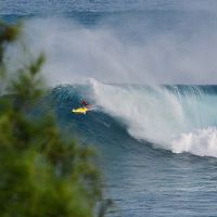 雷霆队出生的婴儿是什么?怎么了?