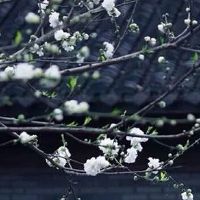 2022年生肖虎5月财运解析 本月会发财吗