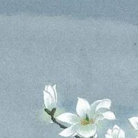 没有耳垂的人命运怎么样 从小缺乏安全感