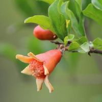 唐绮阳2022年4月感情运势