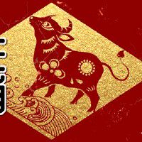 1997年属牛的2022年事业运 吉星相助步步高升