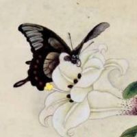 开店取名字大全 最富贵旺运势旺铺取名