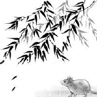 什么是鼠标？慎重