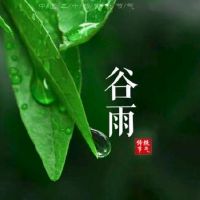 2022年，山谷是几个山谷雨的特点和习俗。