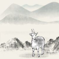 今年谋杀羊男怎么样？