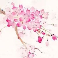 2022年6月2日出生属虎男宝宝命理查询 出入近贵 官禄易进