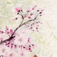 9个簸箕的女人命运 命中贵人特别多