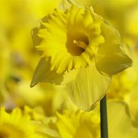 三星值得深刻，成熟，一种沉重的感觉，一个才华横溢的暴力