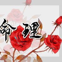 丑陋的男孩命运男孩出生在丑陋的时间，好