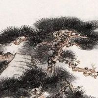 婚车头车车牌号有要求吗 高级的吉祥婚车车牌