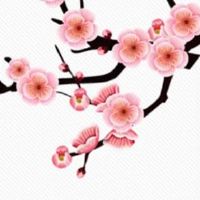 免费八字测正缘出现的年份 八字看配偶出现时间的方法