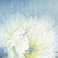 手机尾号后四位数字及寓意 最强好运尾数推荐