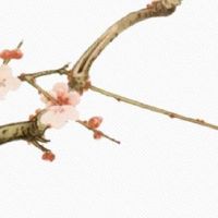 外耳廓缺了一小块面相 婚姻常常有争吵