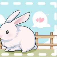 属于兔子的女孩诞生于兔子出生的祝福。