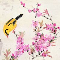 2022年7月15日能出行吗 农历六月十六黄历日子分析