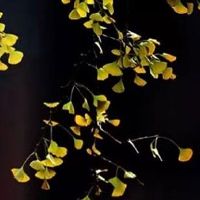 2022年5月属马人可以买房吗 32层可催旺运势