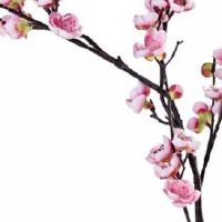 2022有婚运八字 什么样的属相会有正桃花