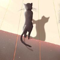 在2022年，我应该吃什么？ “如何吃饭，不那么辛辣，平坦和安静”