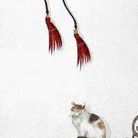 2022年6月22日出生属虎男宝宝八字命理分析 爱情幸福 生活富足