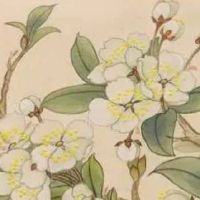 手机尾号5的好吗 最强风水吉利数字组合