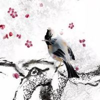 奇门遁甲测试婚姻应期详细说明