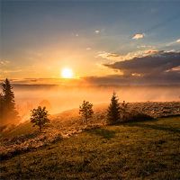 2022年8月28日月星日历是黄岛吉日本？我该怎么办？