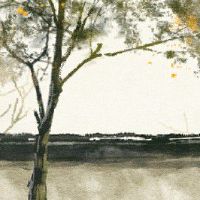 天上火命1979年生财运 财运尚可一努力奋斗