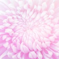 蒂姆周星座财富（4.17-4.23）