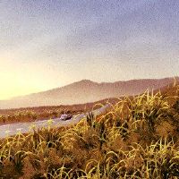 在10月份的2022年猴子月历中调整汽车,黄道姬日本