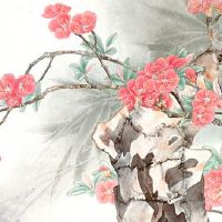 本命年怀上宝宝寓意着什么 挂化太岁锦囊保护婴儿