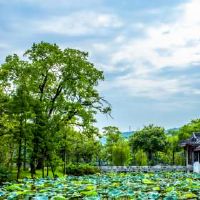 2022年夏季出生的人是什么？财富怎么样？