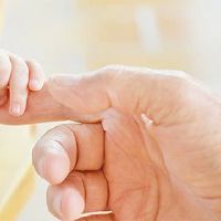 2022年第二天出生的老虎宝宝的名字是什么？