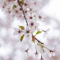 2022年7月10日是开工吉日吗 农历六月十一今日黄历宜忌