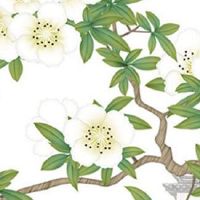 尾数为4的车牌号码好不 升迁发财的车牌数字解读