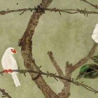 手机尾号3335寓意 吉利招财数组靓号