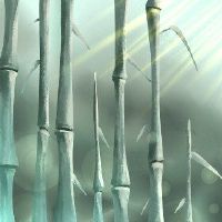 在夏至夏至的夏至，第六天然“风，火，热，湿，干燥，冷”