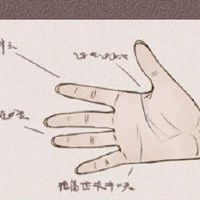 50岁以后发财的手相 手指纤长手掌丰厚