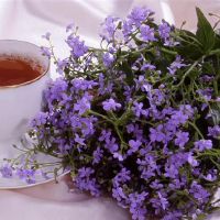 脾气并不好，总是出口伤害人，但这三大星座的人的心是非常好的