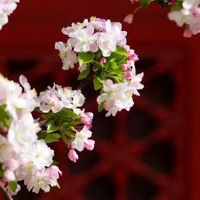 正印格富贵级别有多大 功名加身官运亨通