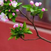 千万不要惹偏印之人 目标坚定不怕坎坷