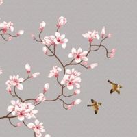 女人旺夫相的面相图 嘴角痣需注意