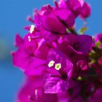 找到12个上升星座的职业方向，使用主星，不再是愁（超超指）